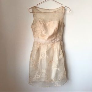 David’s Bridal Special Occasion Champagne Dress